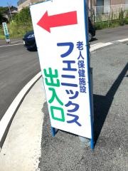 フェニックス