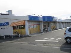 パシオス小鳥店
