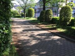 白幡緑道