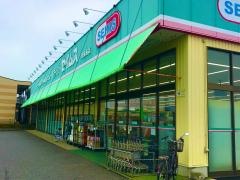 ドラッグセイムス　茂原西店