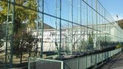 網代小学校