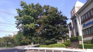 戸笠街園