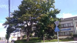戸笠街園