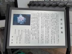 近江妙蓮公園