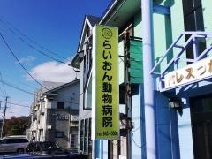 らいおん動物病院