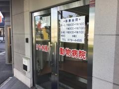 けやき通り動物病院