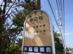 「仲之桜」バス停留所
