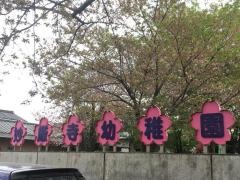妙厳寺幼稚園