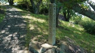 紫雲出山山頂展望台