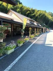 道の駅　たちばな
