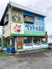 ニューマウンテン