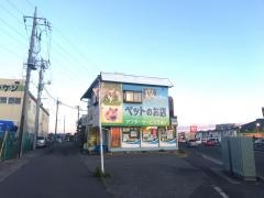 ニューマウンテン