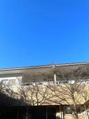 おざさ医院