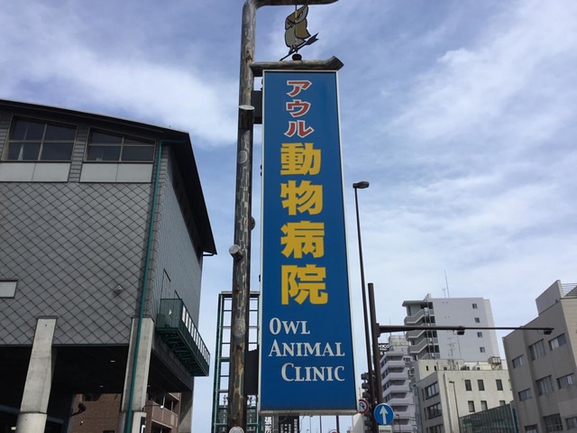 施設写真9