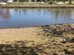 乙戸ファミリースポーツ公園
