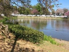 乙戸ファミリースポーツ公園