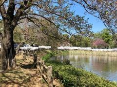 乙戸ファミリースポーツ公園