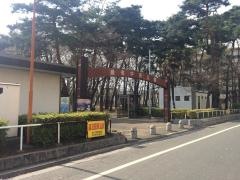 緑町中央公園