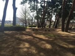 緑町中央公園