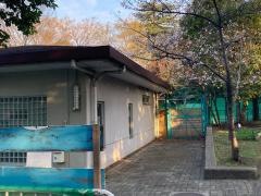 綱島公園プール