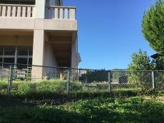 有田中部小学校