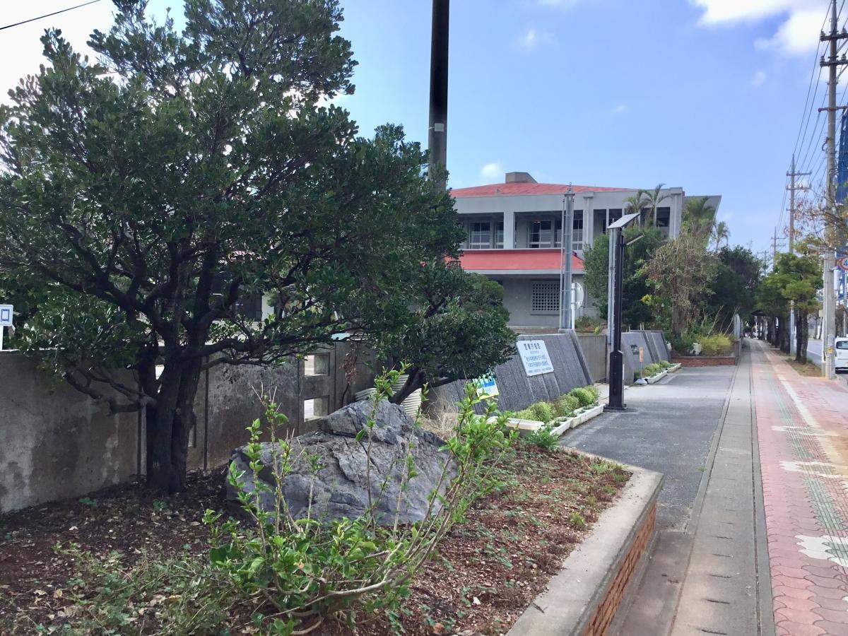 桑江中学校