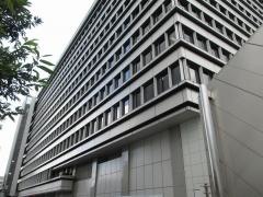 三菱自動車工業株式会社