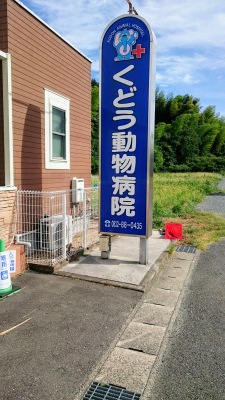 ドッグメディカル くどう動物病院