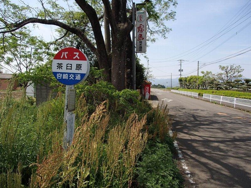 外観１