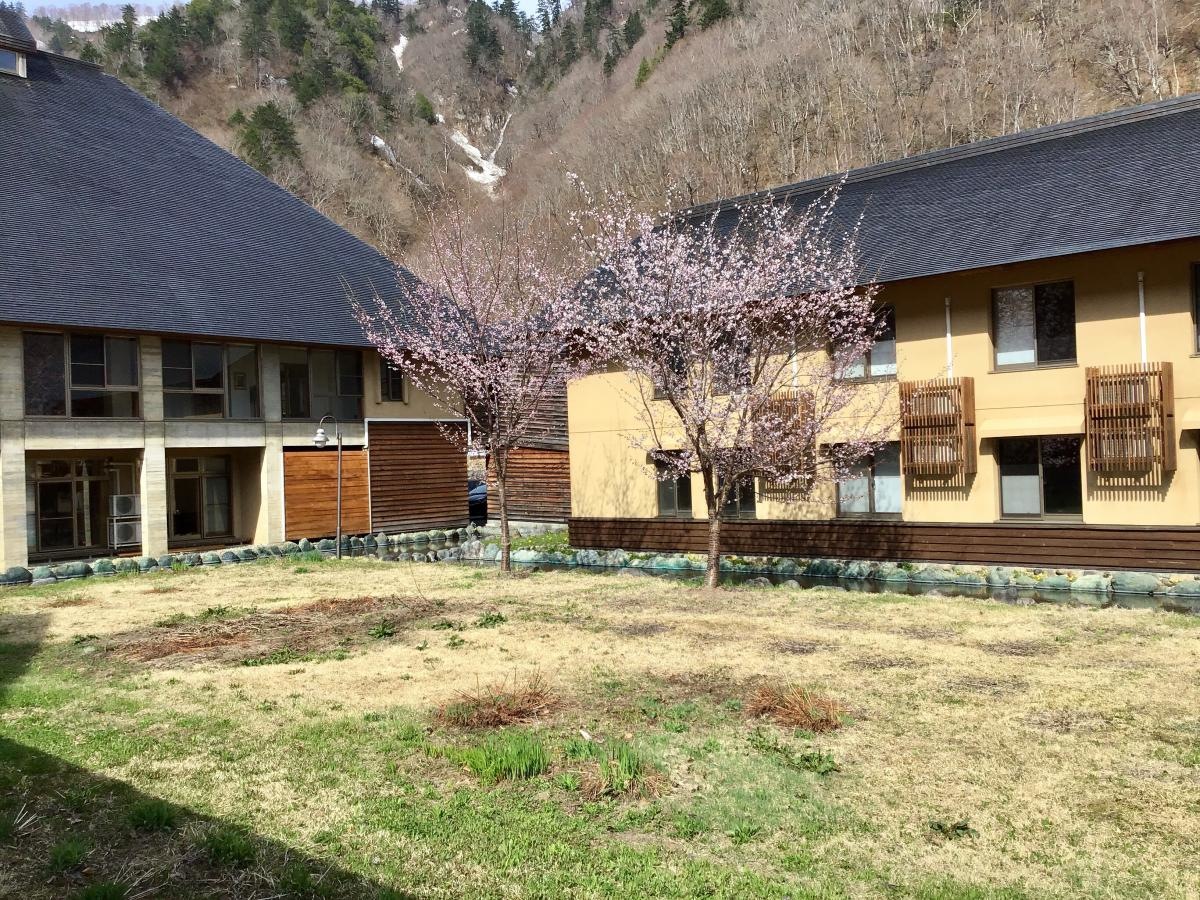 外観です。