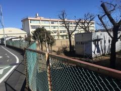第九小学校