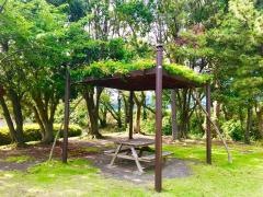 中公園
