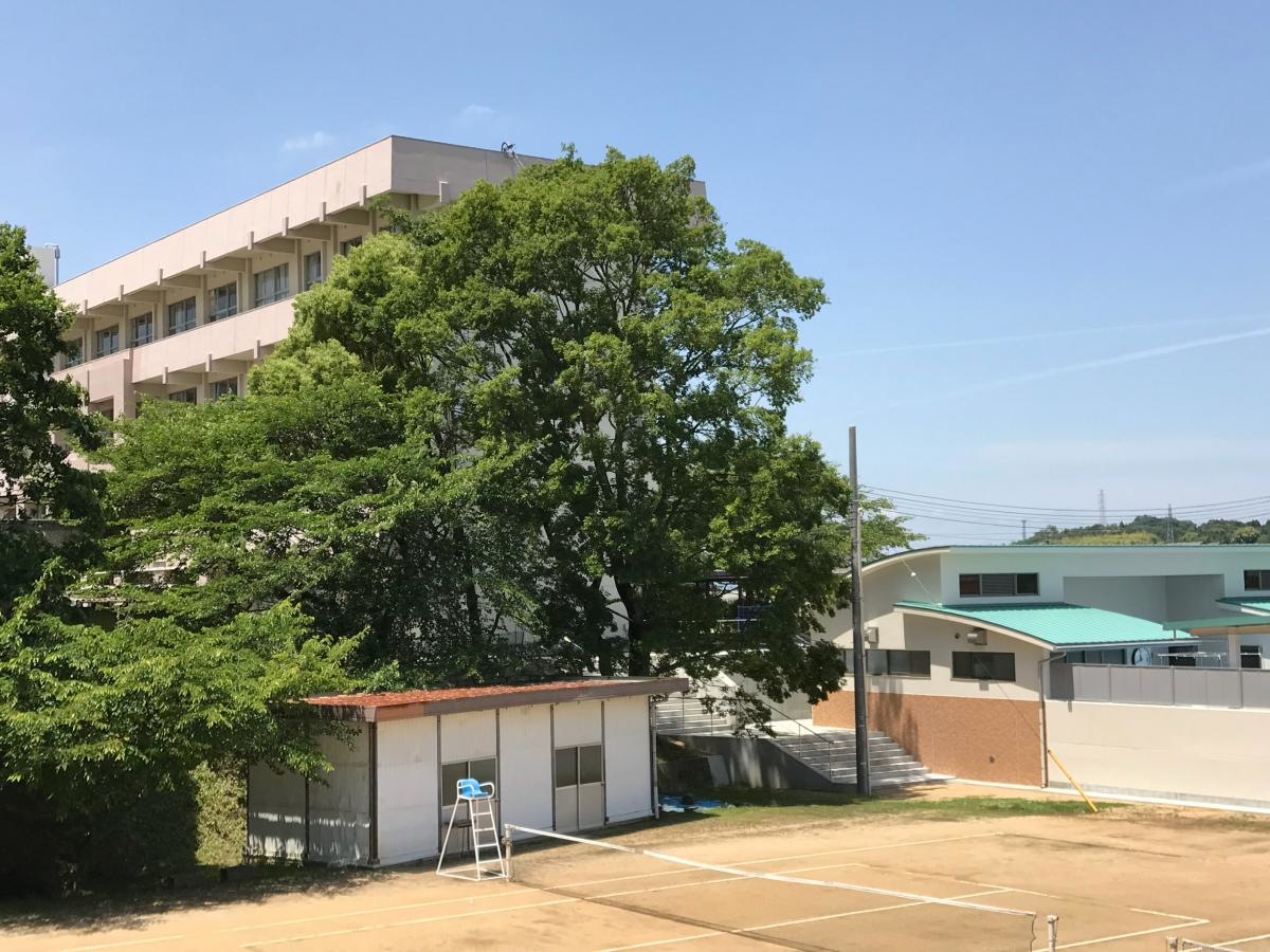 大生院小学校さんです