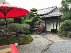 芹生