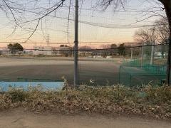 日本体育大学柏高等学校