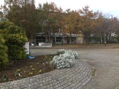 滝野小学校