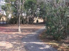 明野緑地