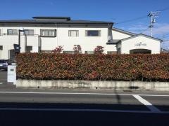 山田憲一内科医院
