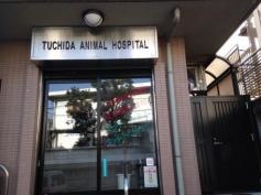 土田動物病院