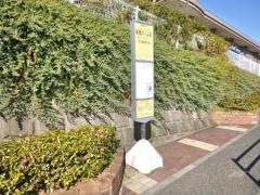 「新橋ホーム前」バス停留所