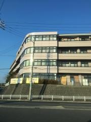 ウィローふたば