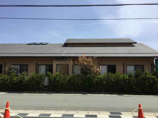 はなみずき