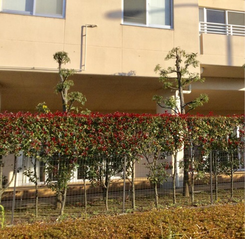 中舘園 施設外観