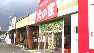 ペットショップ犬の家岡山店
