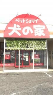 ペットショップ犬の家岡山店