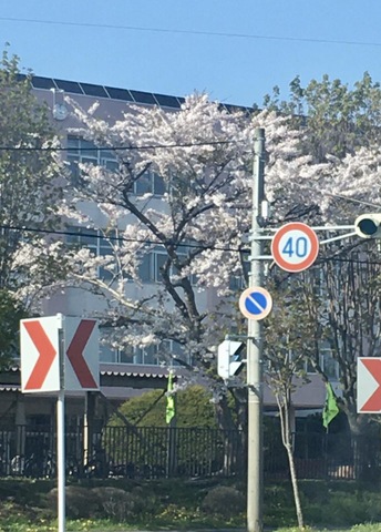 投稿写真1
