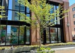 JA新潟信連本店