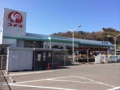 コメリハード＆グリーン　三野店