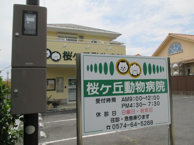 投稿写真5