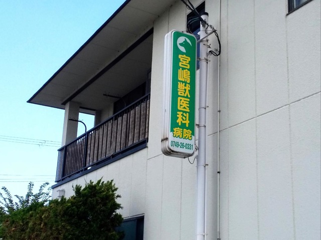 投稿写真8